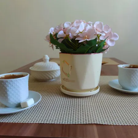 Apartamento Centar *