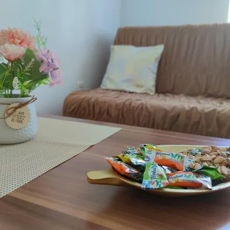 Apartment Centar *